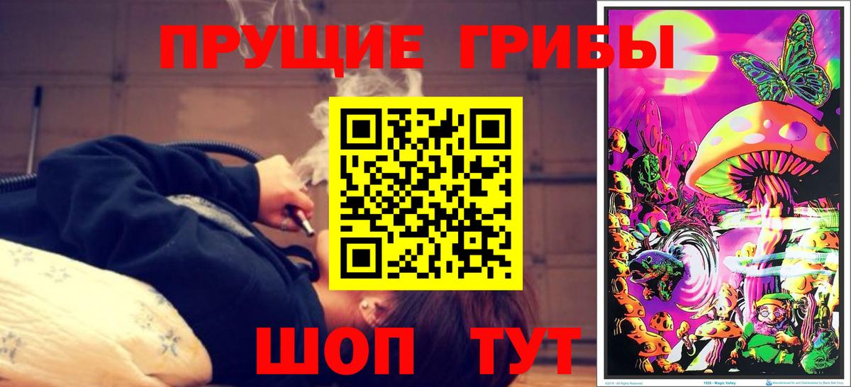Псилоцибиновые грибы Psilocybine cubensis  Вход с VPN  купить  цена  Миасс 